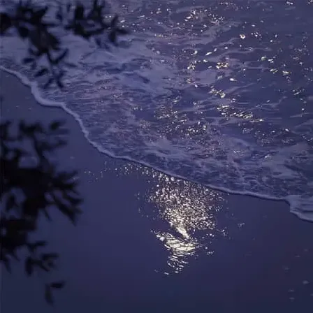 仙气