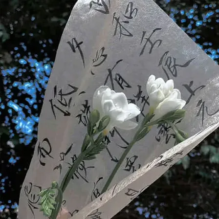 干净英文