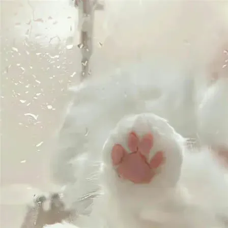 莓果