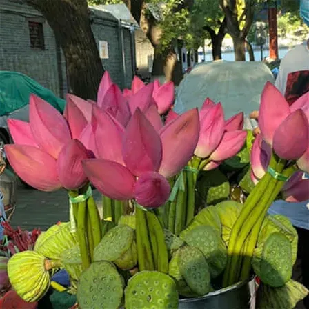 简洁网名