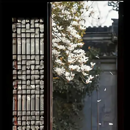左小