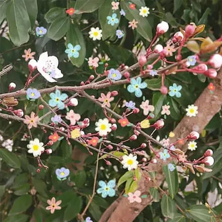 影成双