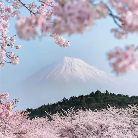 二字昵称