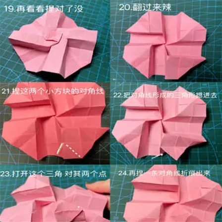 妮可