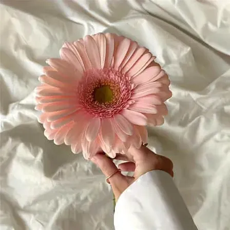 美式