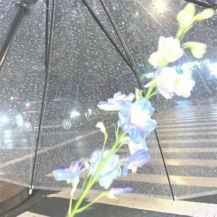 倾城