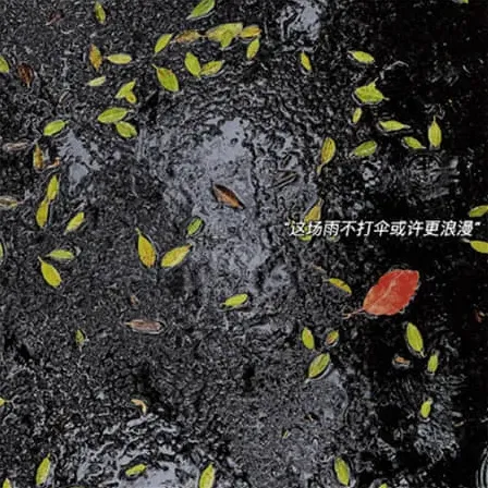 寻萍