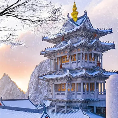 森屿