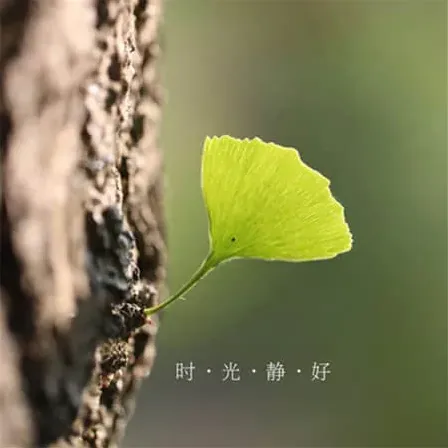 攀桥