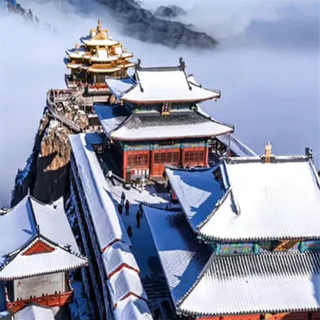 鹿屿