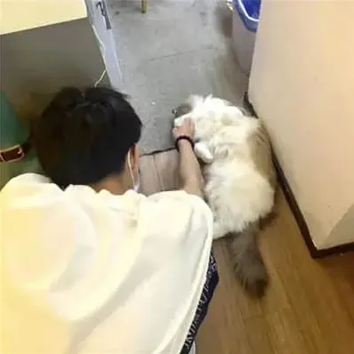 觉茗