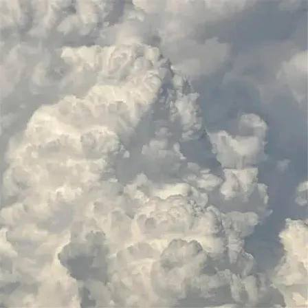 野区