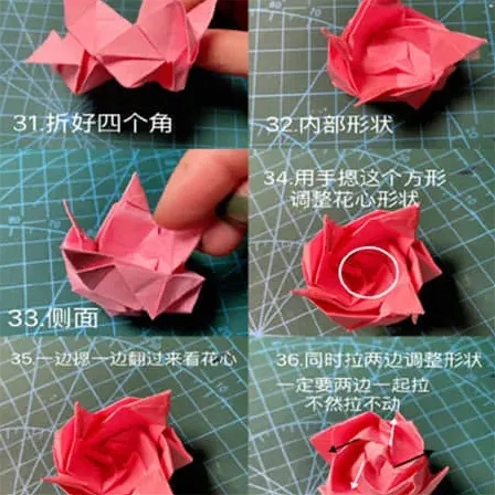 杨光