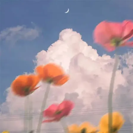 匿名