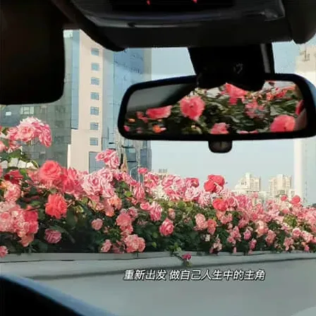 阳光