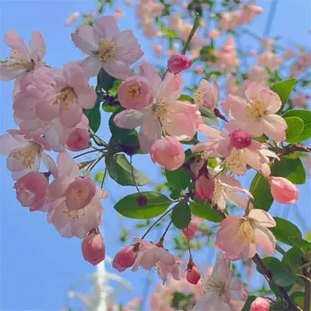 就能