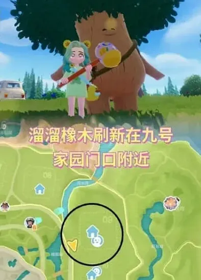 心动小镇橡木