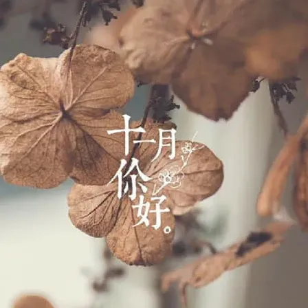 荆鸾