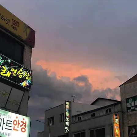 陈锈