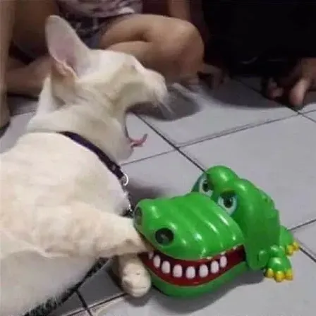 王者