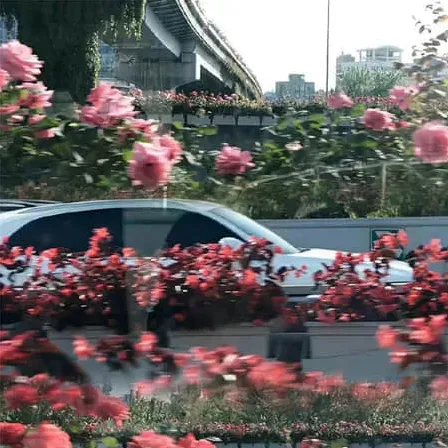 吹角