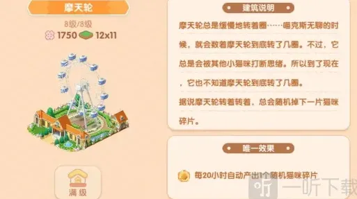 遇见猫咪