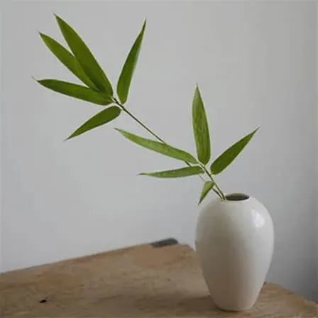 霍家