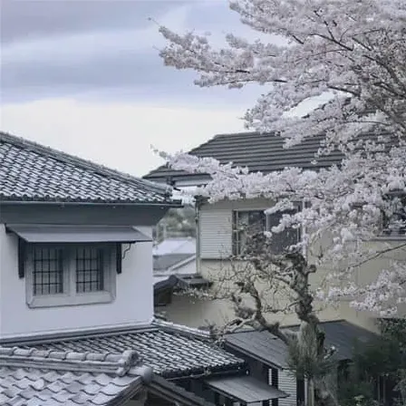 凌谧