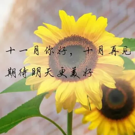 潘多拉