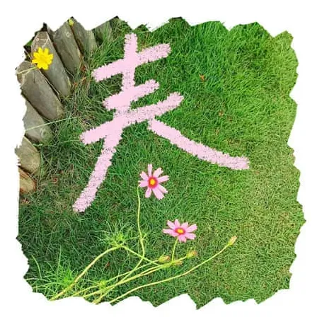 孔夫子