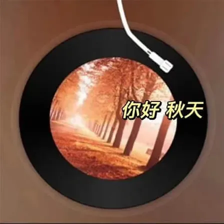 单身狗网名