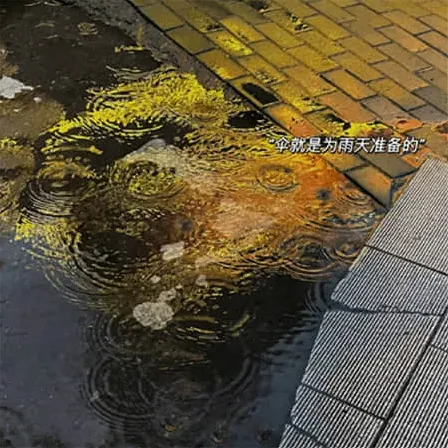 苗字