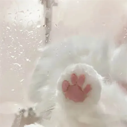 鹤语