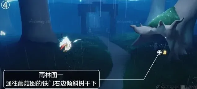 光遇位置