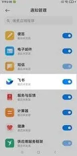 飞书延迟
