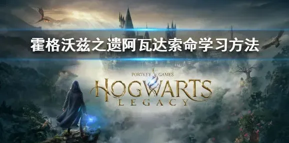 哈利波特阿瓦达索命