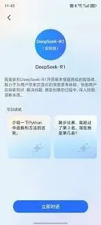 DeepSeek如何使用
