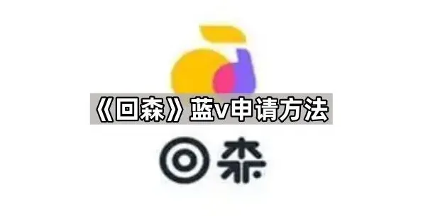 回森蓝v申请方法详细指南
