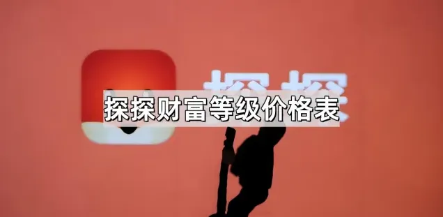 探探财富等级价格表查询指南