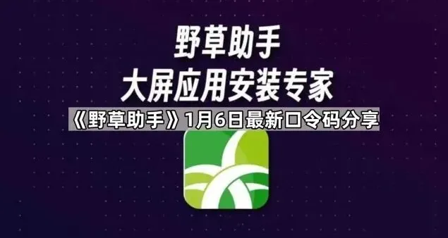 影视大全最新口令码分享详细教程