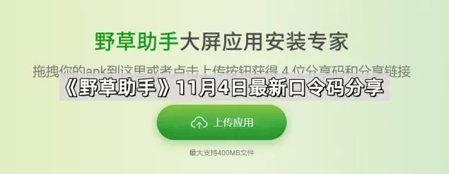 野草助手11月4日最新口令码操作指南