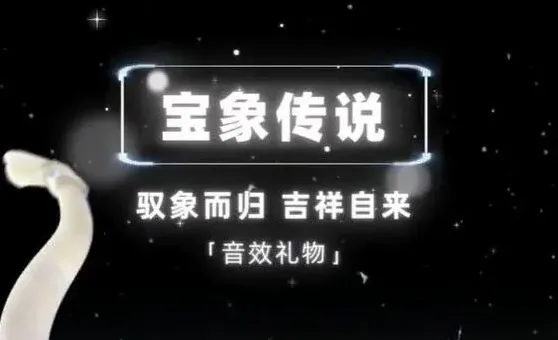 抖音粉丝