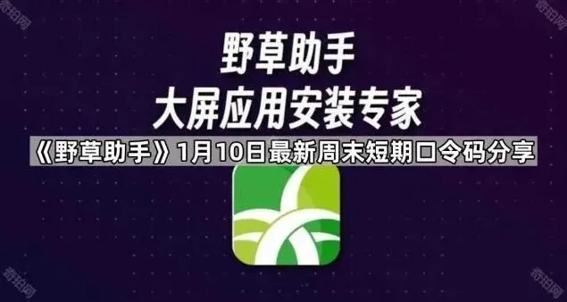 TA远程安装功能步骤教程