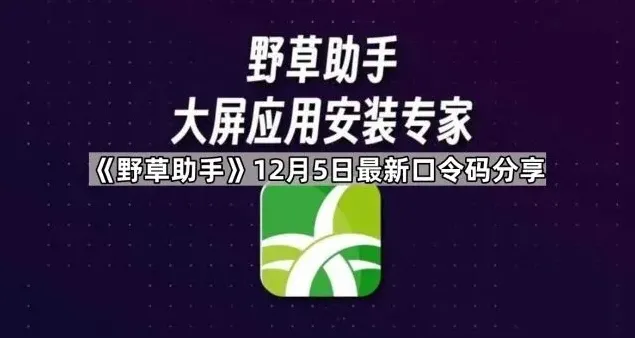 央视频远程安装详细步骤