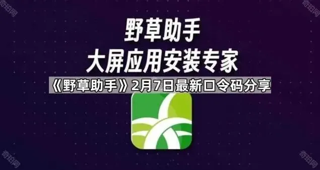 TA野草