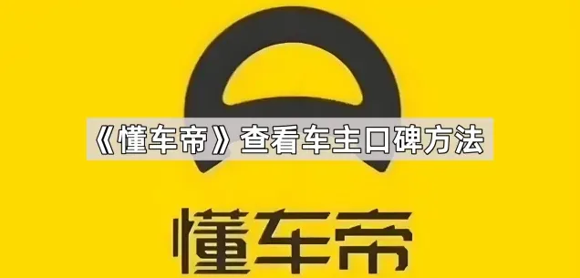 懂车帝车主