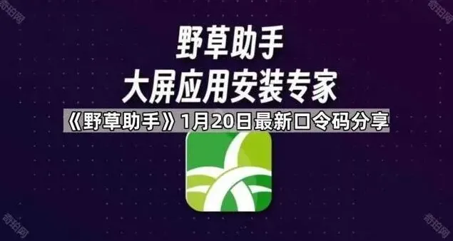 《TA》口令码分享详细指南