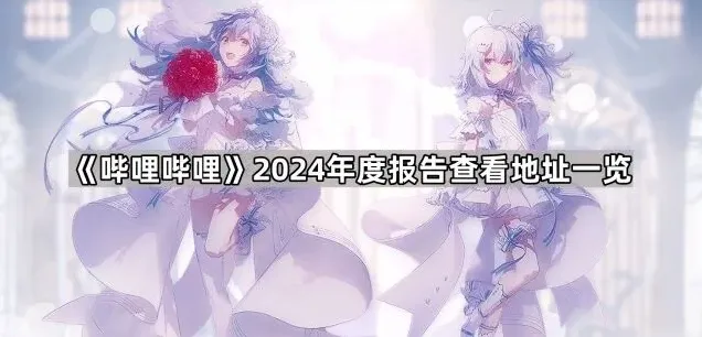 哔哩哔哩年度报告