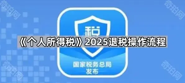 个人所得税操作流程