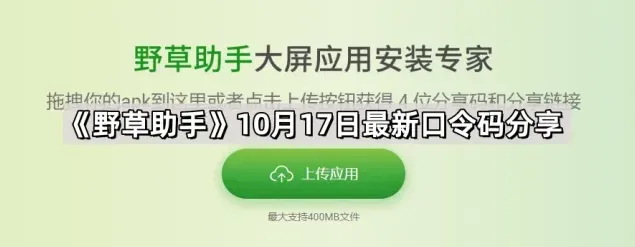 《野草助手》10月17日最新口令码分享实用指南